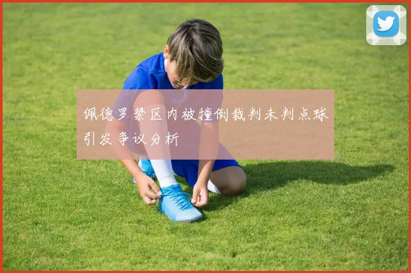 佩德罗禁区内被撞倒裁判未判点球引发争议分析